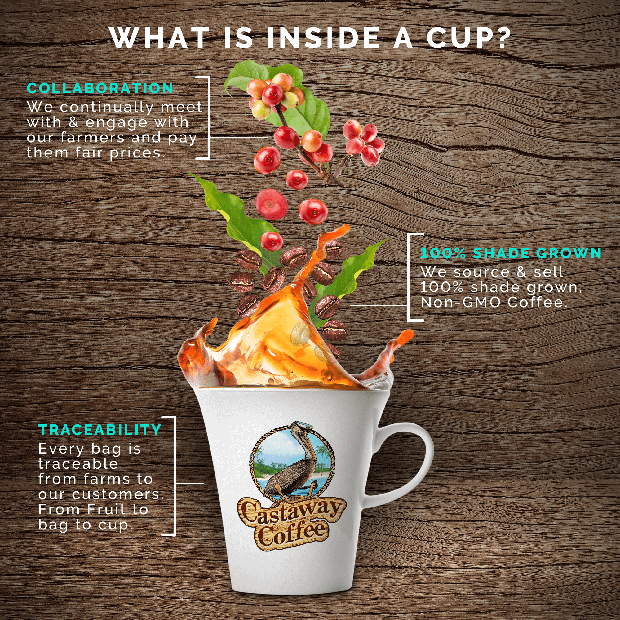Medium-Dark Roast Starter Pack (Guatemalan Delight, Dark Roast, Cuban Espresso; 12OZ)