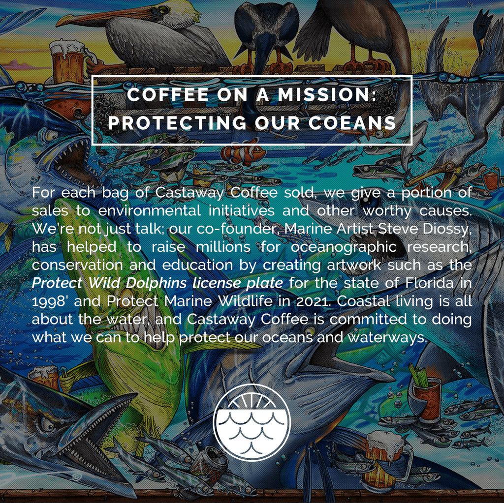 Medium-Dark Roast Starter Pack (Guatemalan Delight, Dark Roast, Cuban Espresso; 12OZ)
